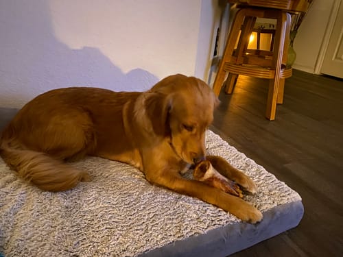 Customer photo review of Smoked Beef Marrow Bone