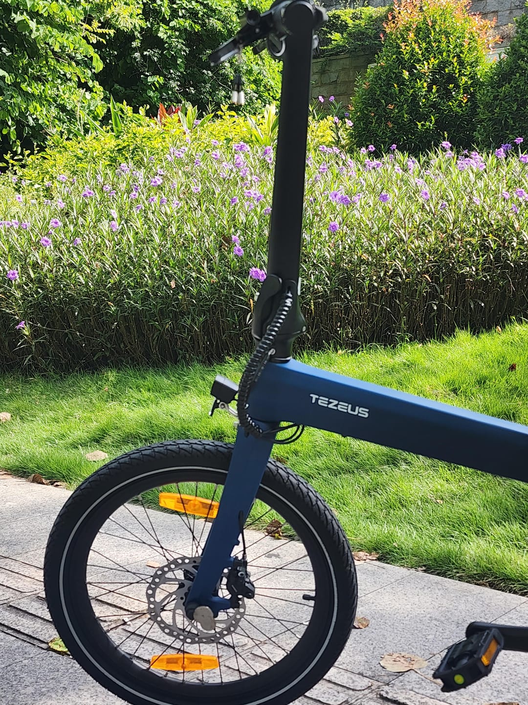 Customer photo review of Tezeus Swift