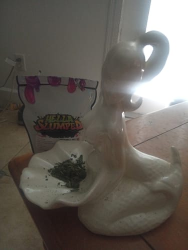 Customer photo review of FREE SAMPLE (with code) THCa Flower