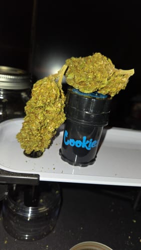 Customer photo review of THCA Flower Budget Buds