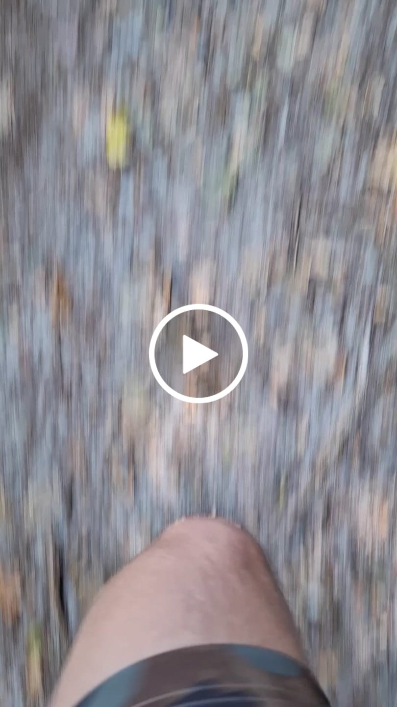 Customer video review of get lost.