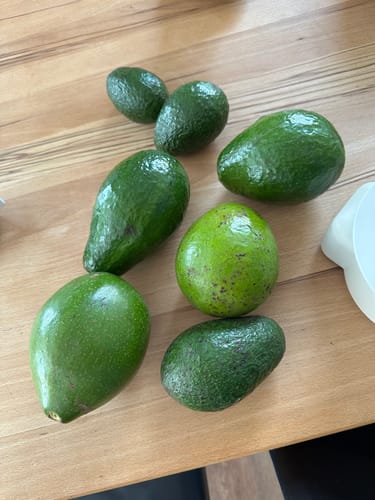 Customer photo review of Avocado Mix "Wild Wonders"