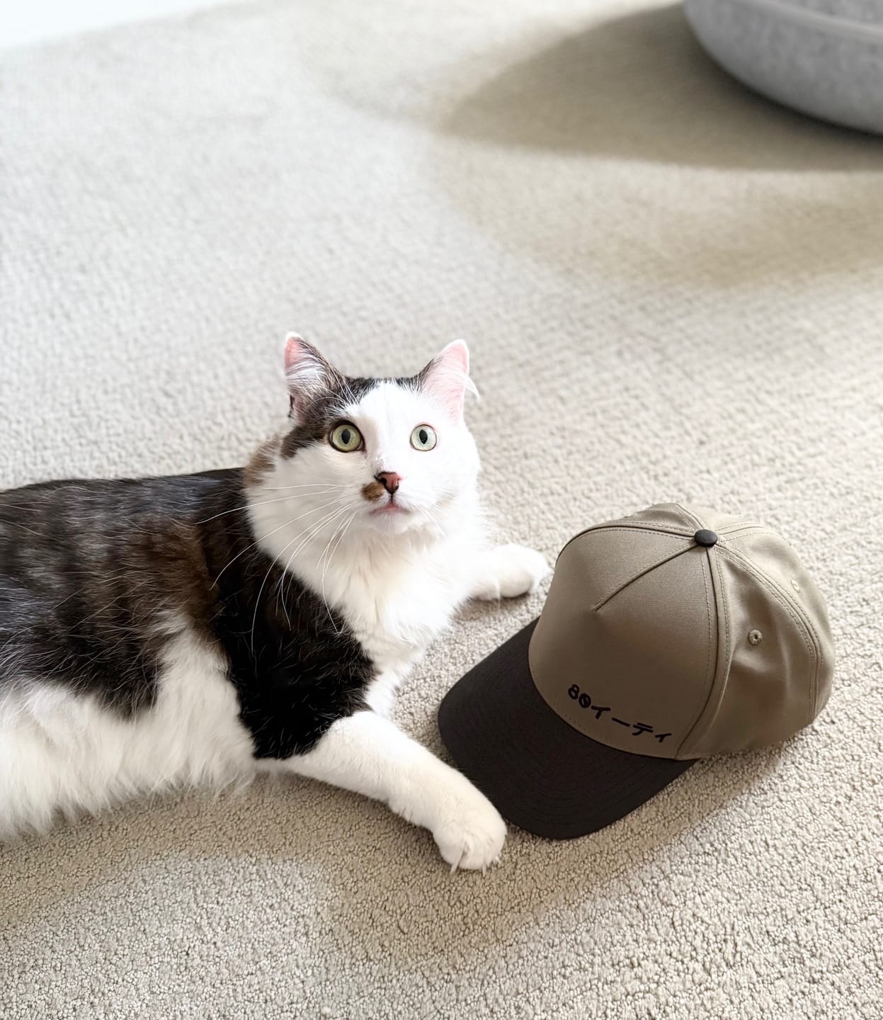 Customer photo review of 80Eighty® Midori Hat