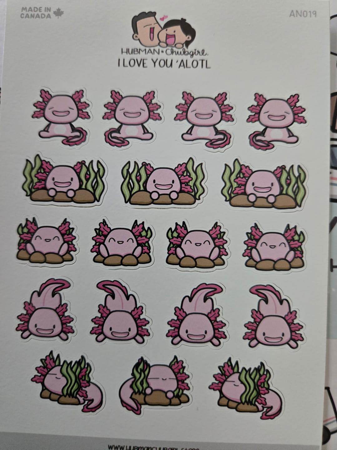 Customer photo review of I Love 'Alotl Planner Stickers