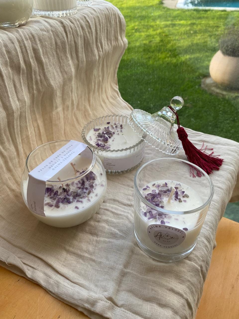 Customer photo review of 2 - Lima Verbena