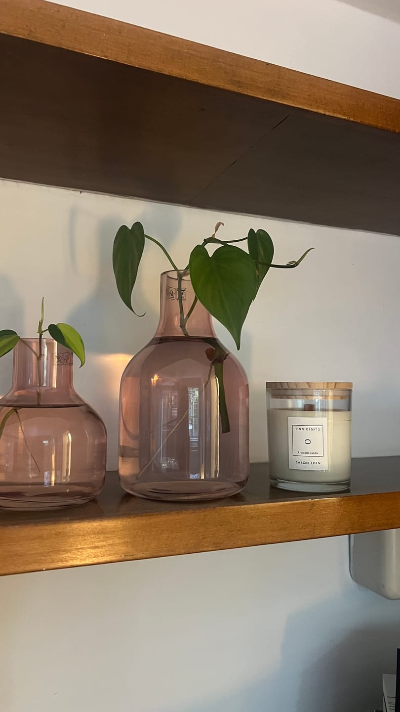 Customer photo review of נר ריחני ורד הבר
