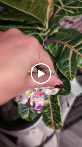 Customer video review of Flower Hair Claw