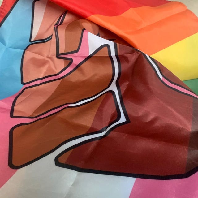 Customer photo review of Resist Fist Trans Pride Flag