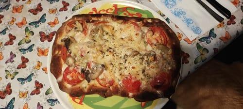 Customer photo review of "Pala Romana"