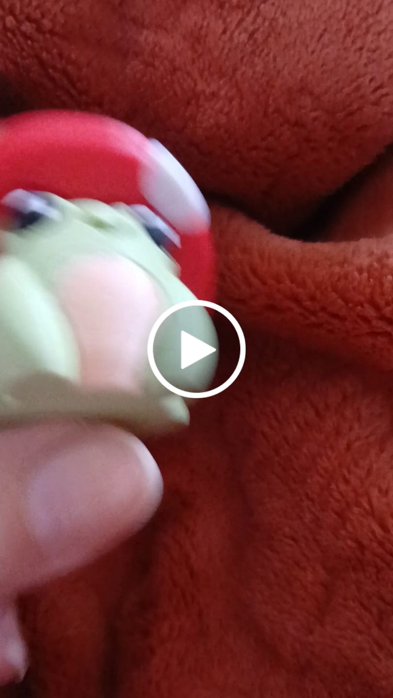 Customer video review of Frogshroom