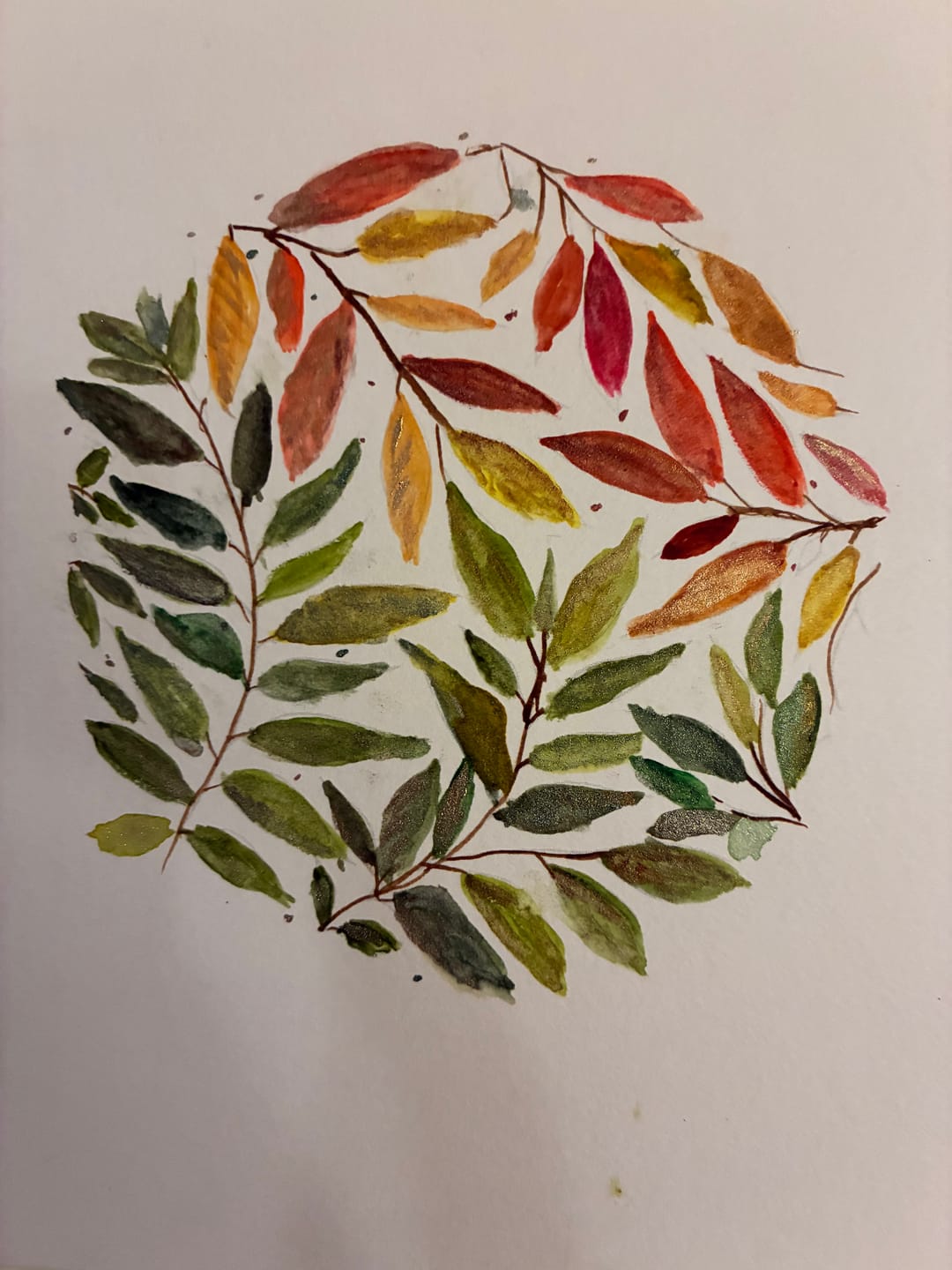 Customer photo review of Autumn Glow