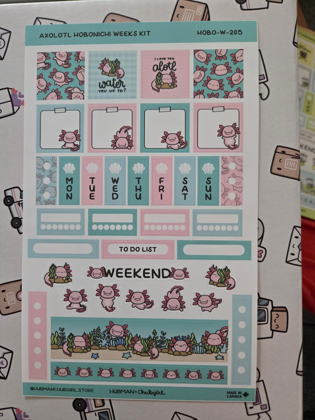 Customer photo review of Happy Axolotl Theme Hobonichi Weeks Kit
