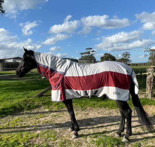 Dawn S. review of LE Boxter Hybrid Mack Turnout 0g image 1 out of 3