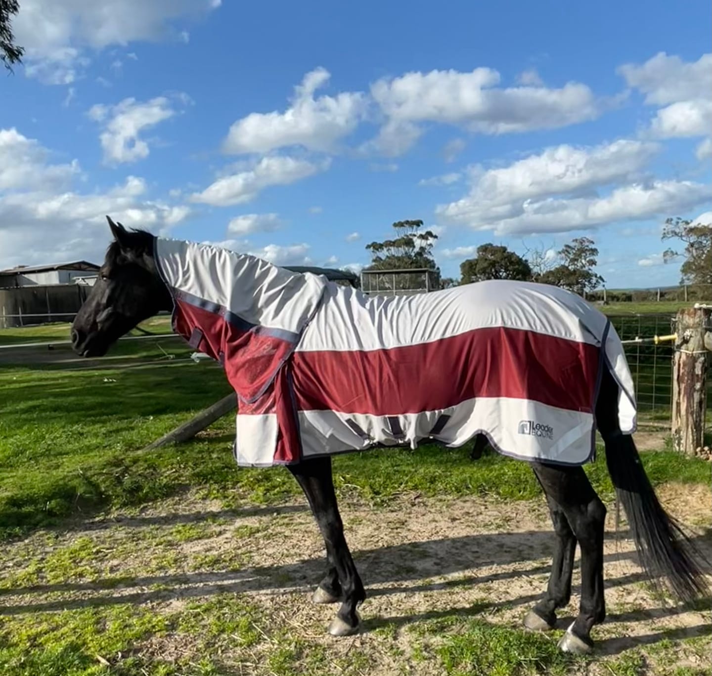 Customer photo review of LE Boxter Hybrid Mack Turnout 0g