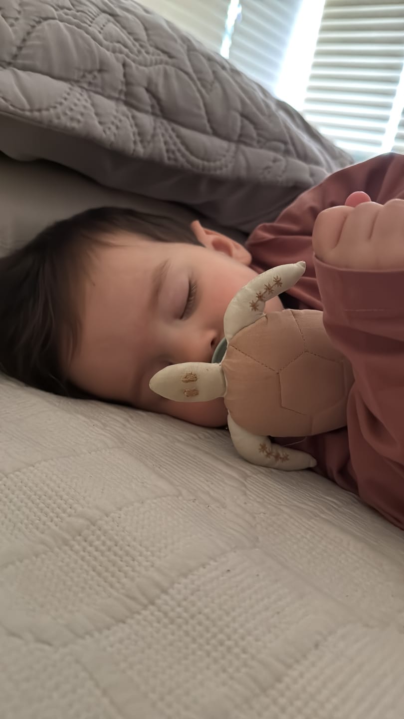 Customer photo review of Tuto Apego ✦ AURA Tortuga de Mar