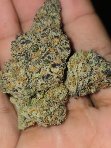 Customer photo review of Super Runtz