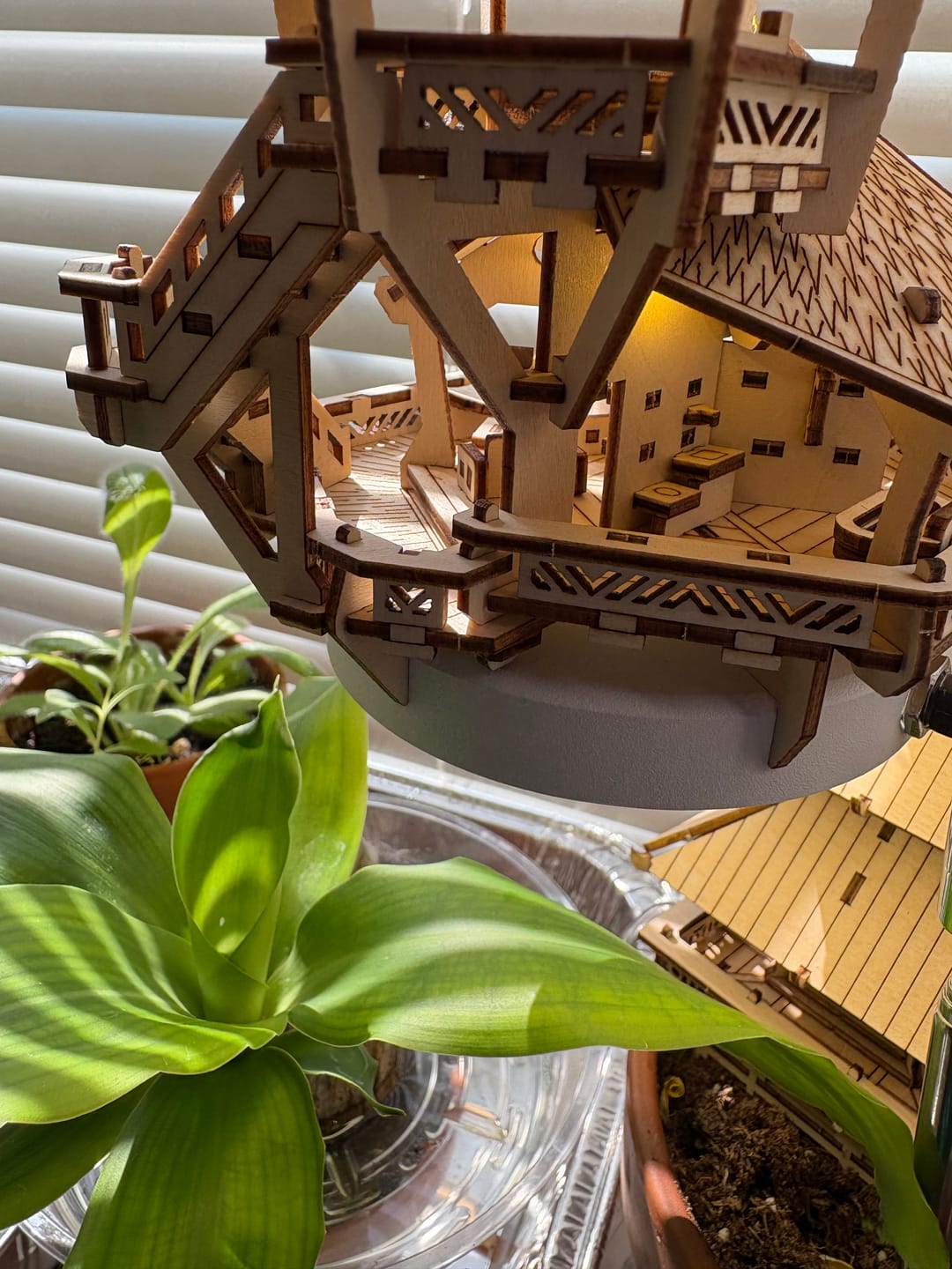 Customer photo review of Island Cabana + Grow Light