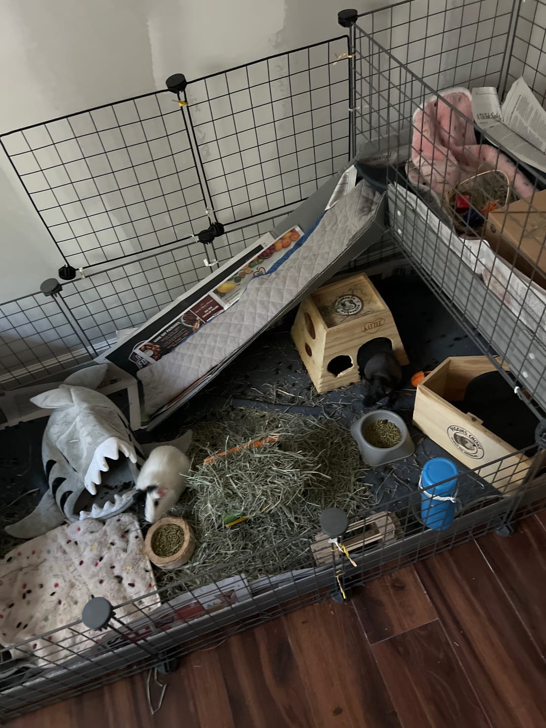 Customer photo review of GuineaDad Fleece Balcony Ramp Liner