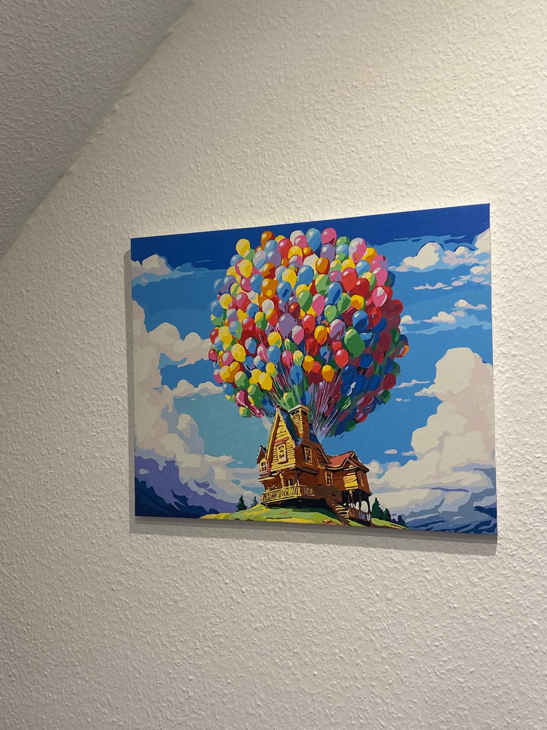 Customer photo review of House in the Skies