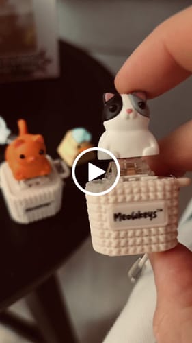 Customer video review of Meowkey - Fidget Toy that Meows!