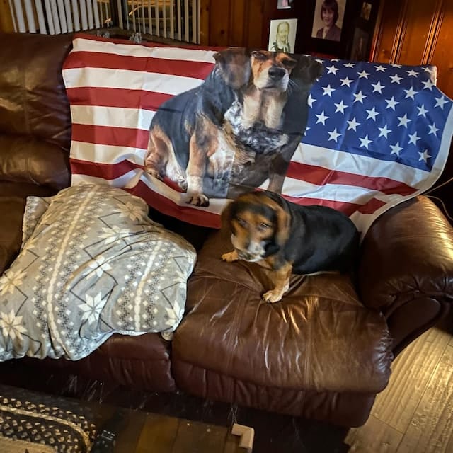 Customer photo review of Custom Standard Flags