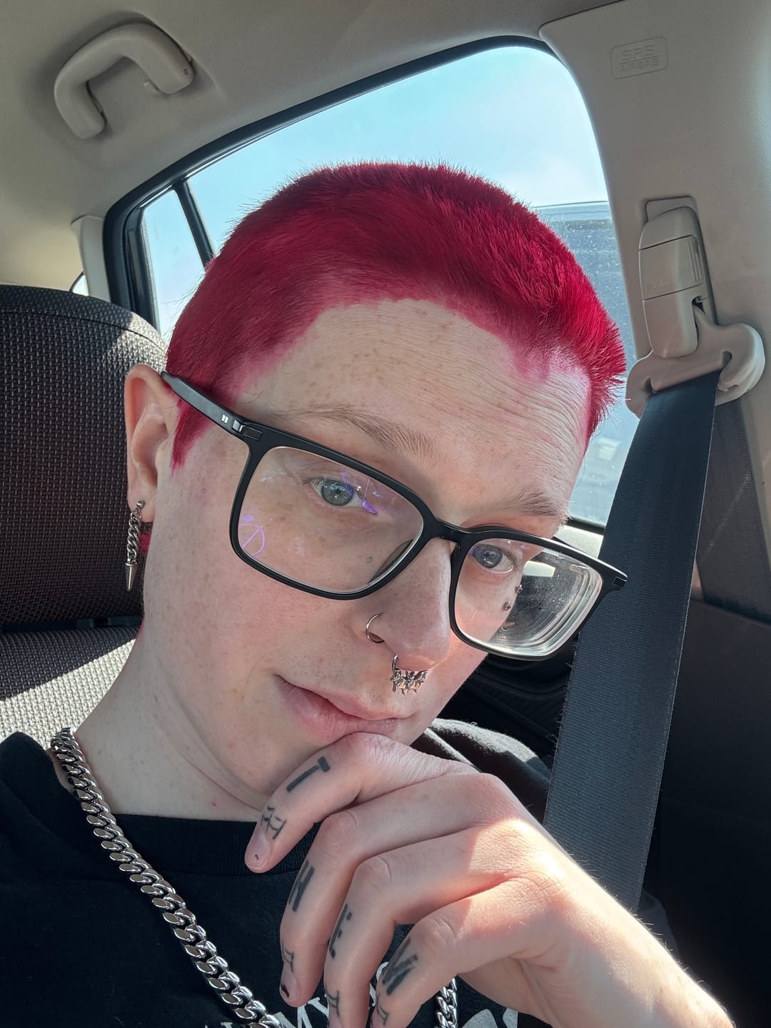 Customer photo review of BAT SEPTUM