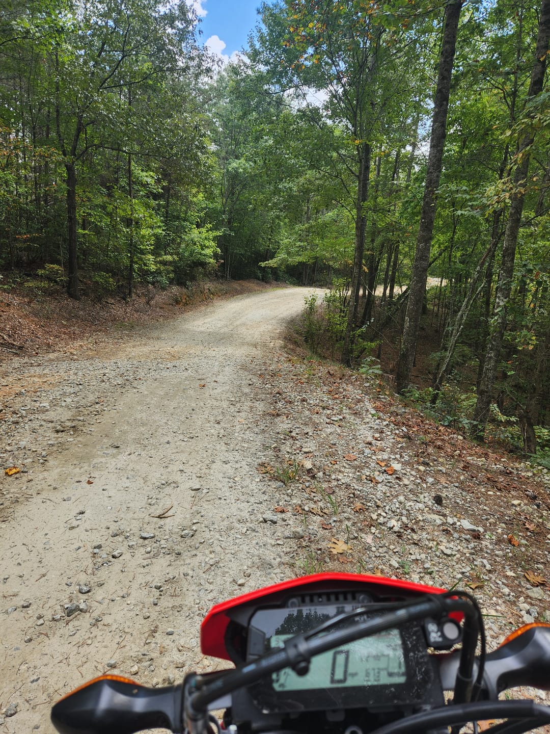 Customer photo review of "Adventure" All-Season Lycra | Armored Motorcycle Riding Shorts