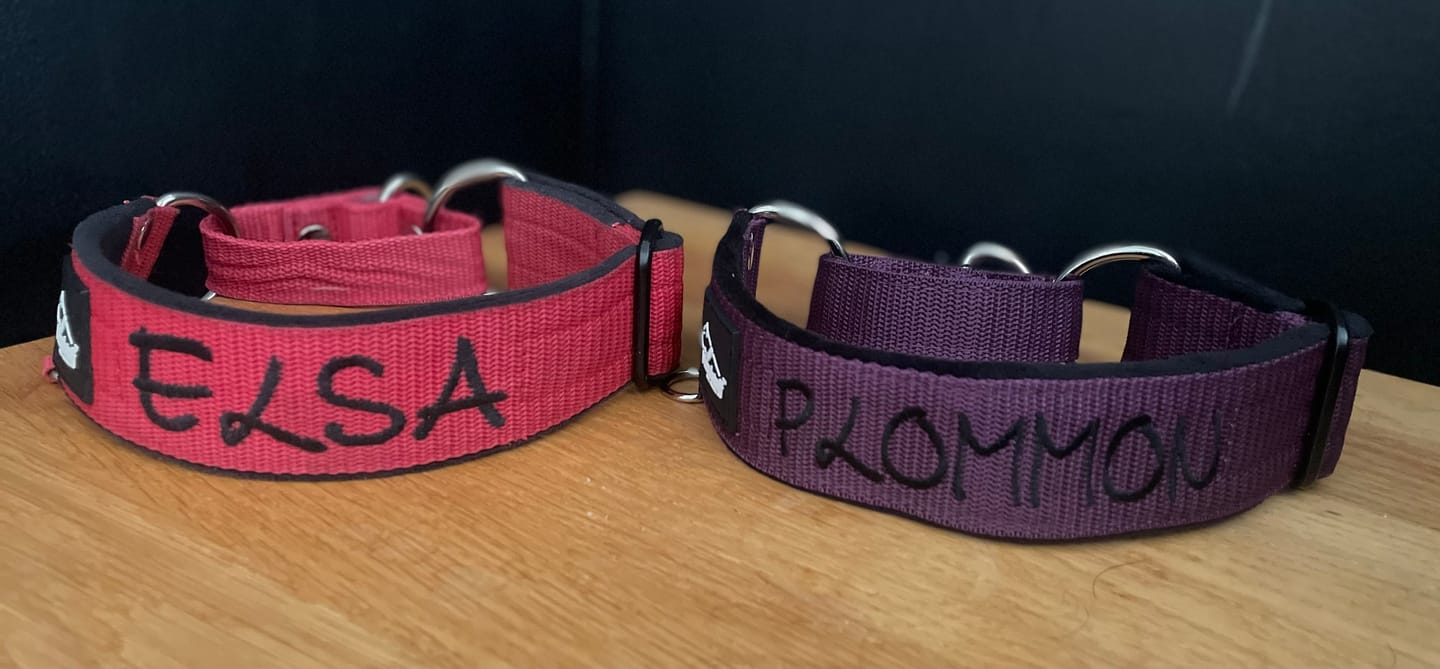 Customer photo review of Martingale halsband med namn