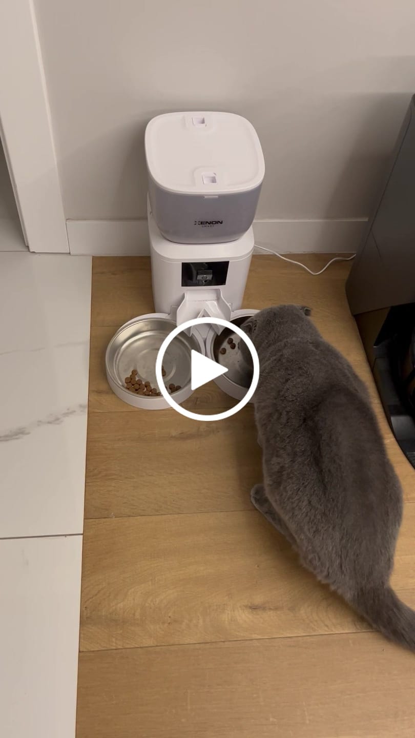 Customer video review of Akıllı Çift Kaseli Mama Kabı