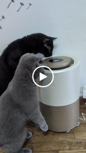 Customer video review of Pet Air Purifier