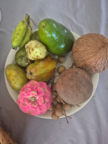 Customer photo review of Tropical Variety Box