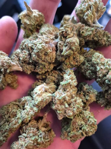 Customer photo review of Cheap THCA Smalls Quarter Pound