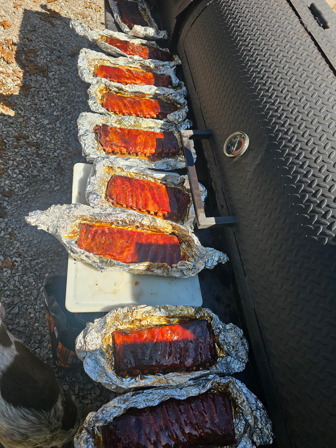 Customer photo review of World Championship Rib Bundle
