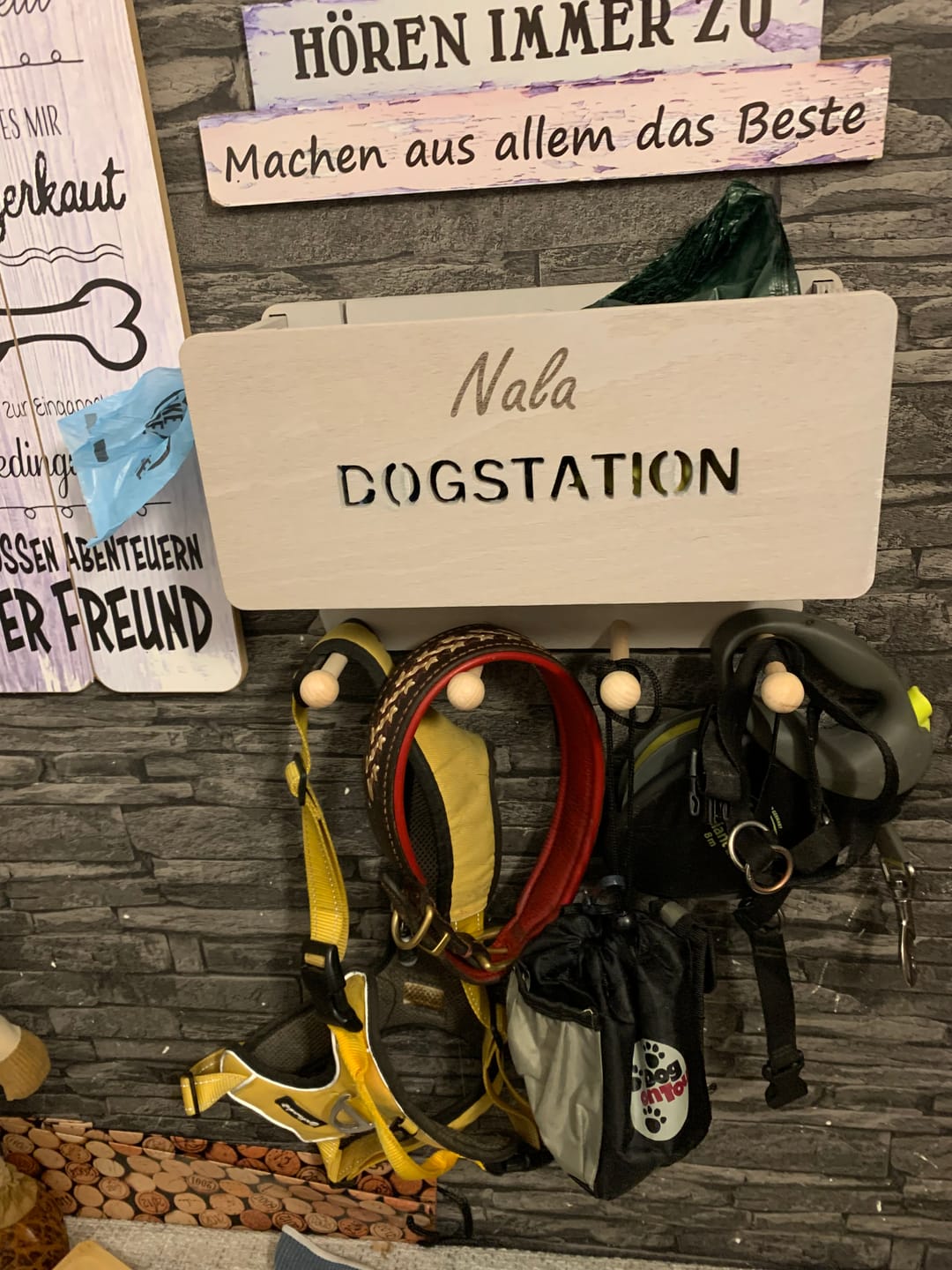 Customer photo review of Dogstation Classic