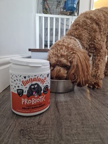Customer photo review of Probiotic Digestive Fibre Pellet Supplement for Dogs