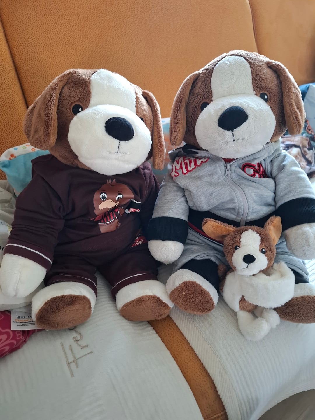 Customer photo review of Mini & Grote hond - Je bespaart €20