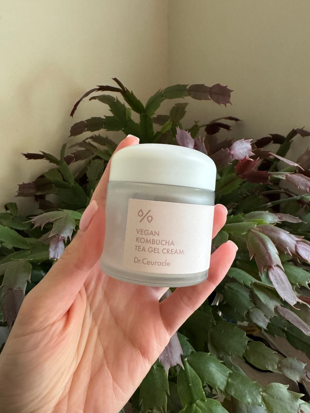 Customer photo review of Mitrinošs vegānais krēms ar kombuču Dr.Ceuracle Vegan Kombucha Tea Gel Cream