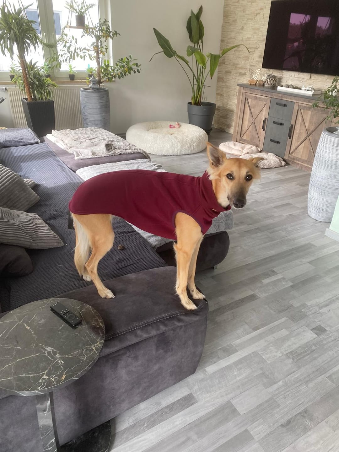 Customer photo review of Winnipeg "Bordeaux"