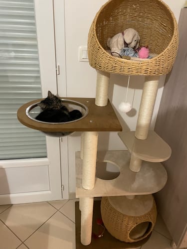 Customer photo review of Arbre à Chat -  Nuage Miaou
