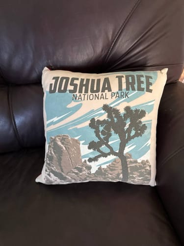 Customer photo review of T-shirt Pillows