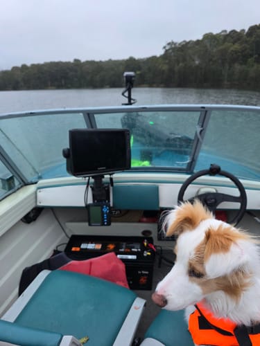 Customer photo review of RAM Swing Arm w/ Rectangle Base & Vertical Mount (RAM-109VU)