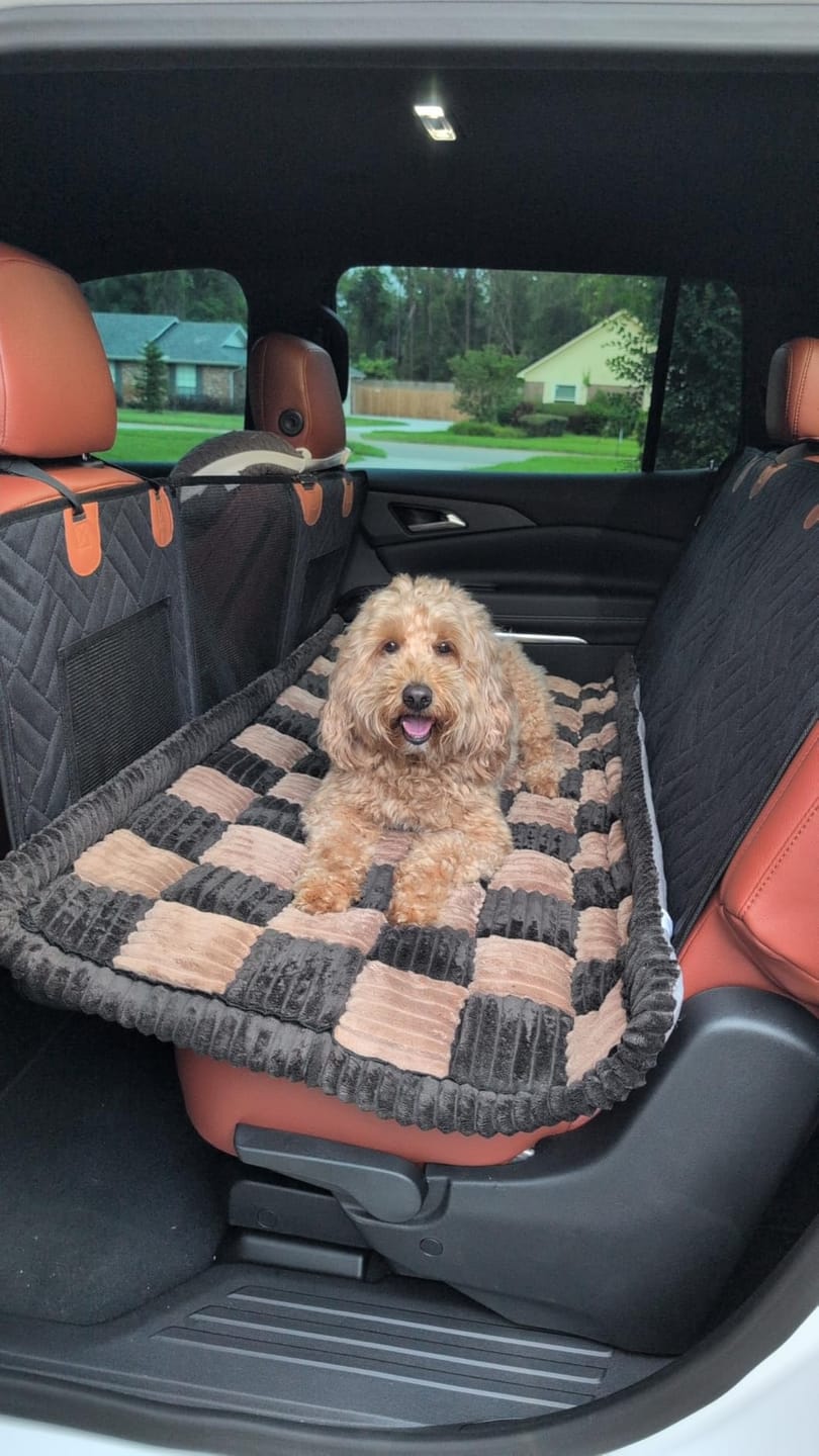 Customer photo review of The Guardian - Dog Seat Cover