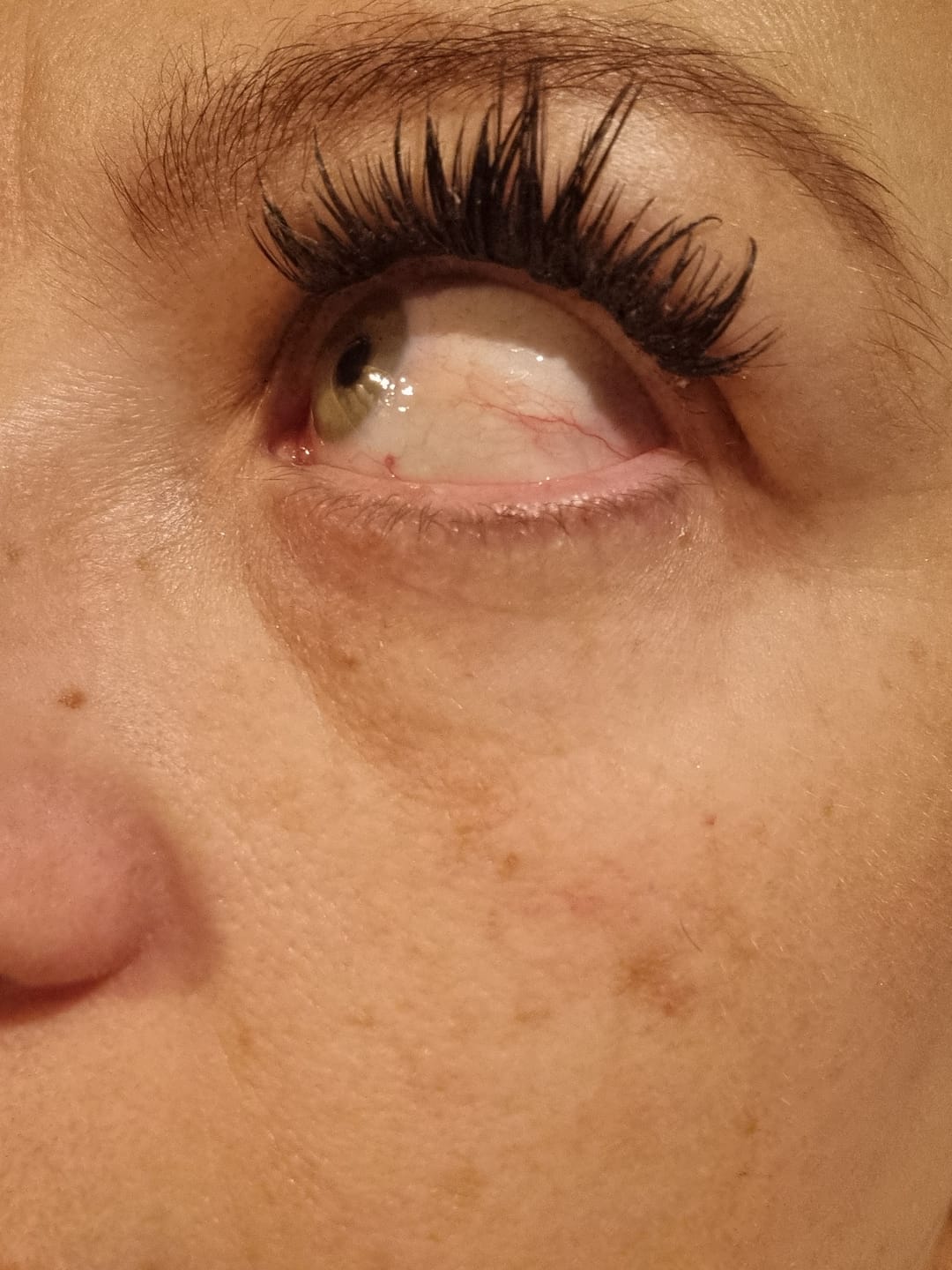 Customer photo review of Venus Lash Only