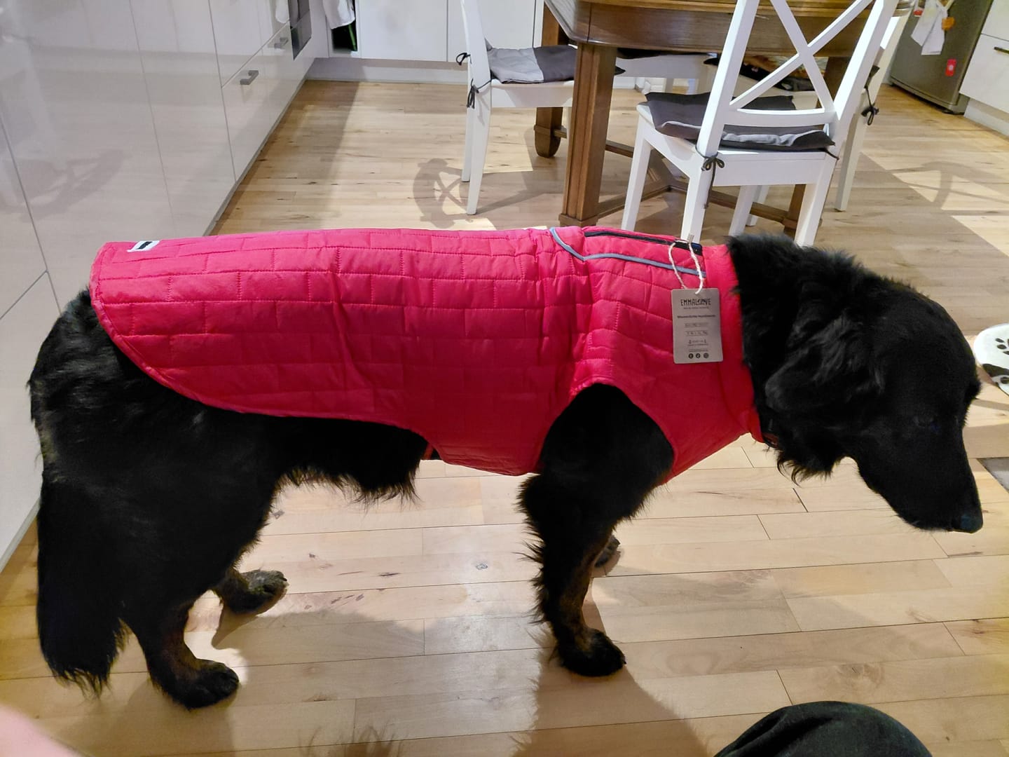 Customer photo review of Emmalove - Wasserdichte Hundeweste