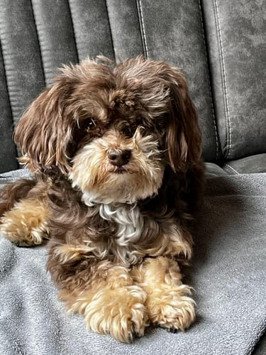 Customer photo review of RelaX-Mas-Kalender