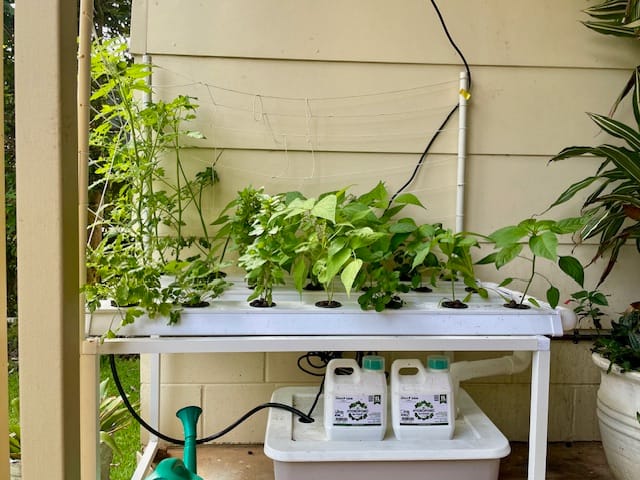 Customer photo review of The Small Salad Table