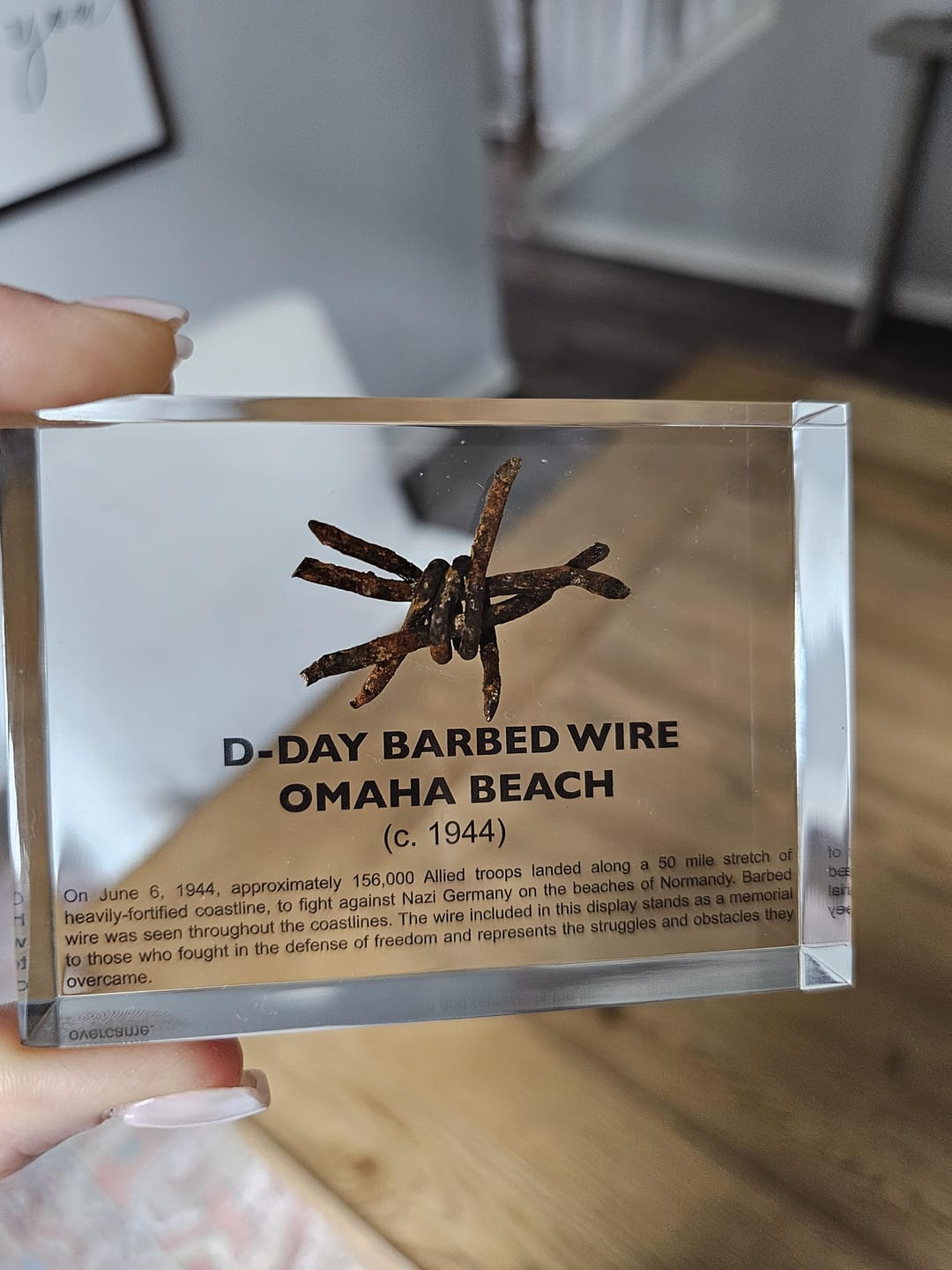 Customer photo review of D-Day Barbed Wire Artifact Display