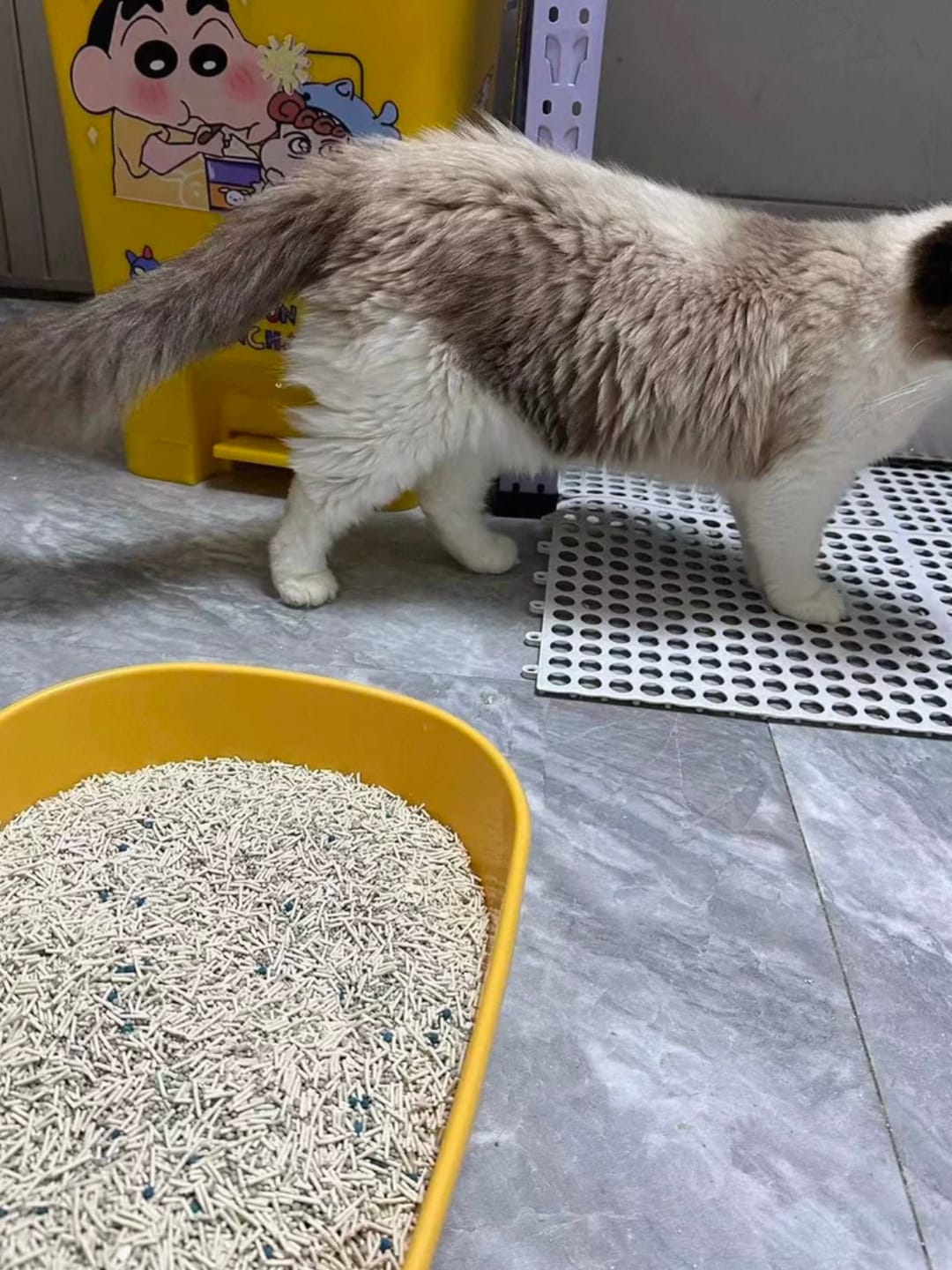 Customer photo review of Michu Mixed Tofu Cat Litter Lite 6L – Flushable, Eco-Friendly & Odour Control