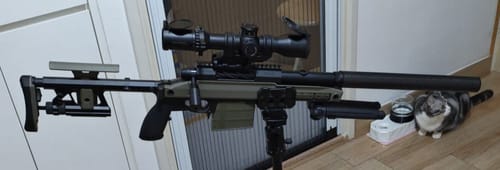 Customer photo review of Silverback Carbon Dummy Suppressor