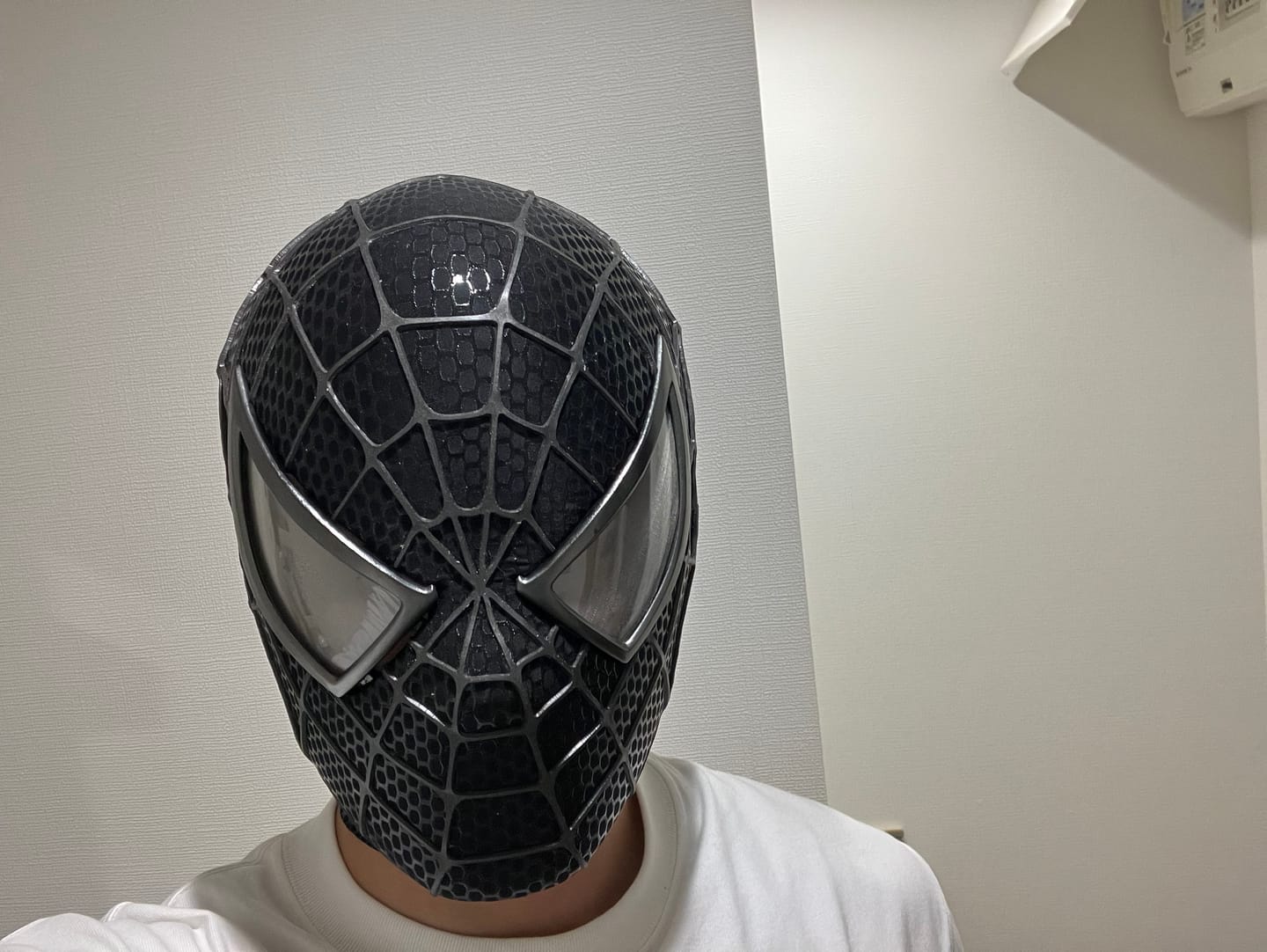 Customer photo review of Tobey Maguire Spider-Man 3 Venomized Spider-Man Life Size Wearable Mask